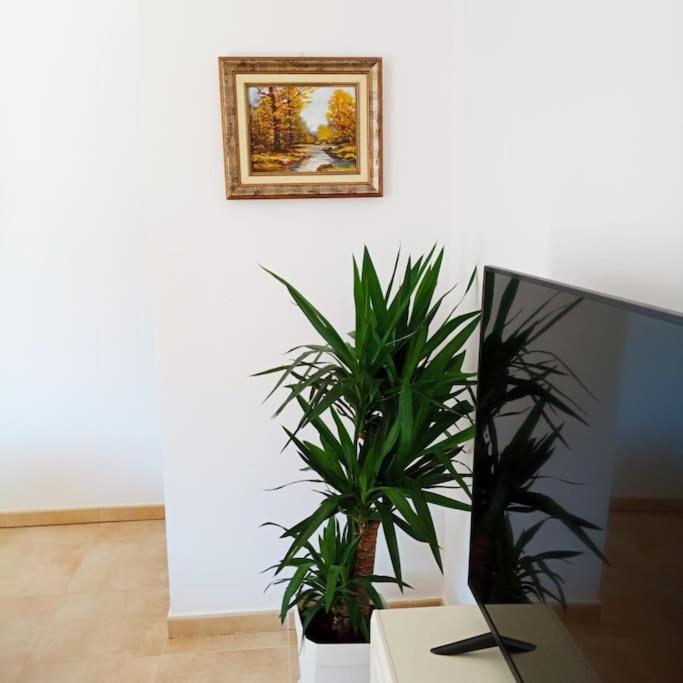 Piso Sierra Calderona A 15 Minutos Del Mar Estivella Apartment Exterior photo